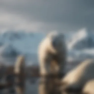 Challenges in Prey Availability Polar bear hunting seals in a challenging environment