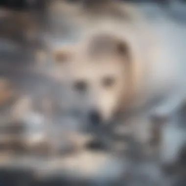 Polar Bear on Ice Polar bear standing on ice in its natural habitat