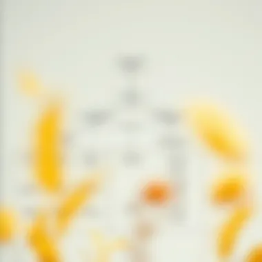 Flowchart of policy interconnections in climate action