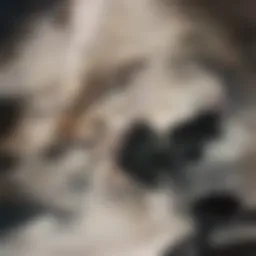 Expectant mother consulting with a healthcare provider about anticoagulation therapy.