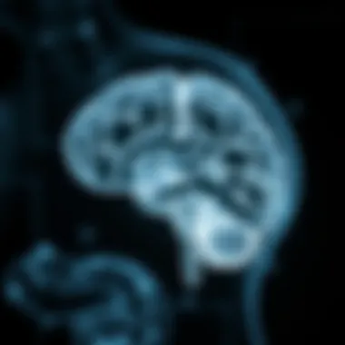 The Gut-Brain Connection and Its Influence Diagram illustrating the gut-brain connection
