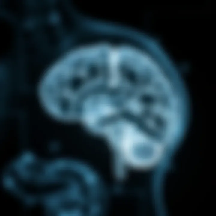 The Gut-Brain Connection and Its Influence Diagram illustrating the gut-brain connection