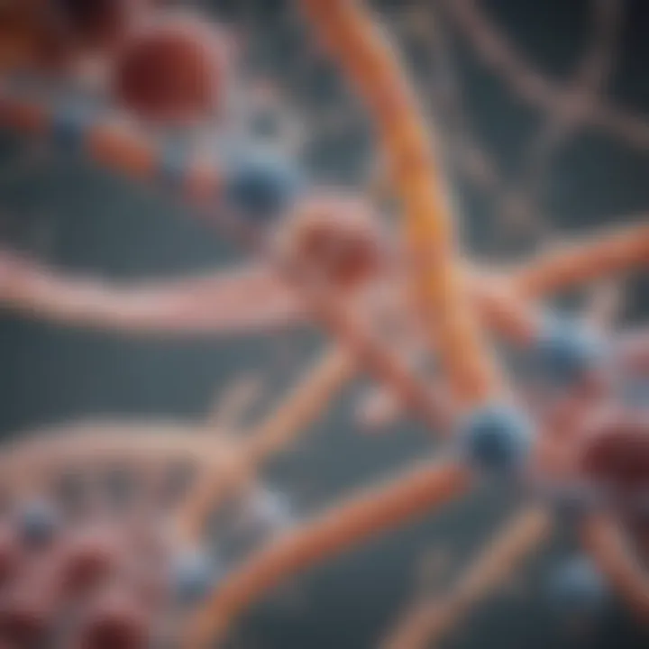 Graphical representation of regulatory mechanisms in protein synthesis