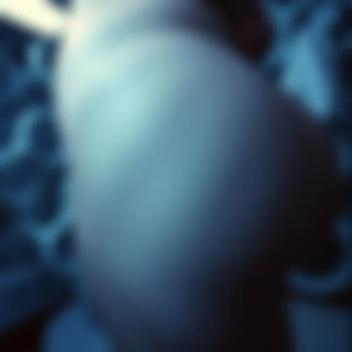 Research on Cellulite and Health Research insights on cellulite and health implications