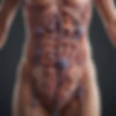 Diagram showcasing the gut microbiota and its effects on health