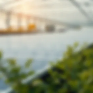 Sustainability in Solar Panel Lifecycle Solar panel recycling process