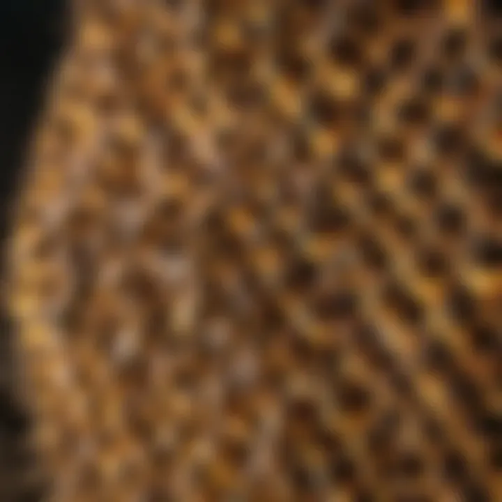 Close-up of a thriving bee colony in a hive.