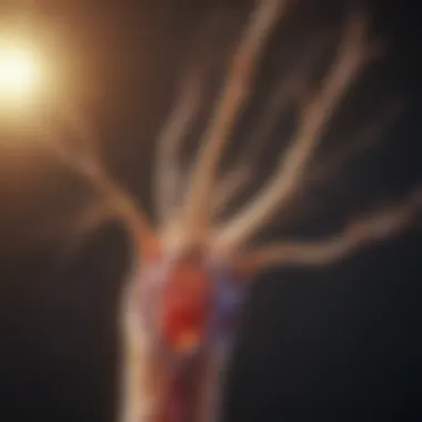 Nerve Regeneration Mechanisms Diagram illustrating nerve regeneration