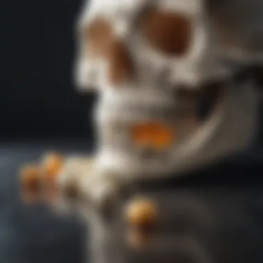 A display of supplements focusing on calcium and vitamin D for bone health