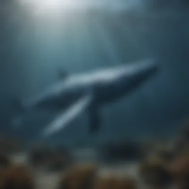Blue Whales in Their Natural Habitat Underwater view of blue whales in their natural habitat.