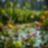 Diversity in Wetland Ecosystems Lush wetland ecosystem with diverse flora and fauna