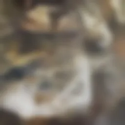 Visual representation of balanced nutrition emphasizing healthy food choices