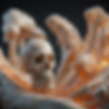 Calcium and Bone Density Visual representation of the impact of calcium on bone density