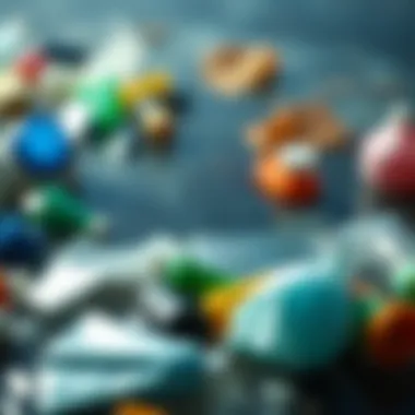 Notable The Challenge of Marine Plastic Pollution Notable The Challenge of Marine Plastic Pollution