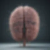 An illustration depicting the brain's neural pathways affected by sleep deprivation
