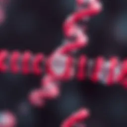 Diagram illustrating the mechanism of CRISPR-Cas9 in genetic modification