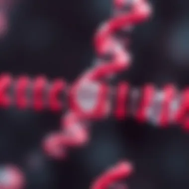 Mechanism of CRISPR-Cas9 in Genetic Modification Diagram illustrating the mechanism of CRISPR-Cas9 in genetic modification