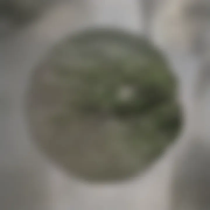Long-term benefits of tree planting drones in reforestation