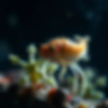 Marine species impacted by changing ocean chemistry