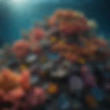 Aerial view of a vibrant coral reef showcasing marine biodiversity