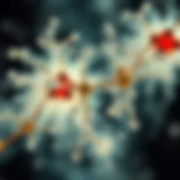 Metabolic pathways of aspartame