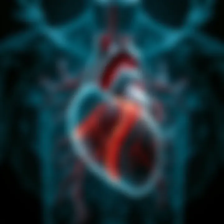 A representation of cardiovascular anatomy affected by mold exposure