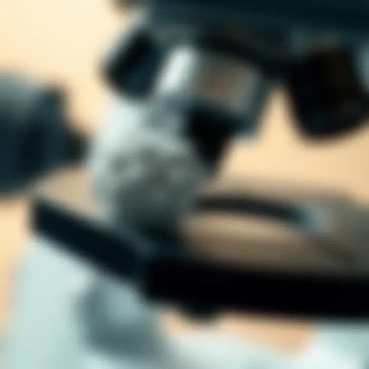 An illustration of mold spores under a microscope