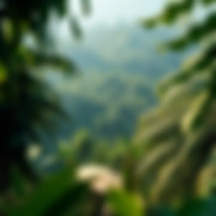 Ecological Significance of the Amazon A lush Amazon landscape representing the ecological significance of indigenous lands