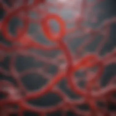 The Intersection of Type 2 Diabetes and Chronic Inflammation Summary The Intersection of Type 2 Diabetes and Chronic Inflammation Summary