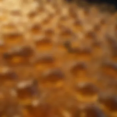 Close-up of honey's golden texture