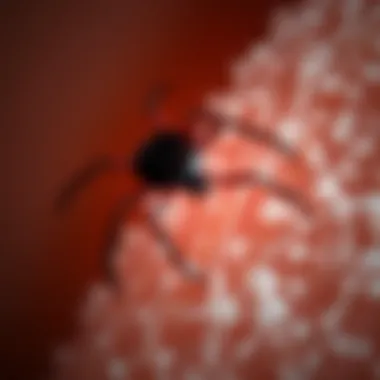The Relationship Between Tick Bites and Meat Allergies Summary The Relationship Between Tick Bites and Meat Allergies Summary