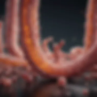 Research Advancements in Gut Health Research advancements in gut health