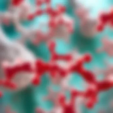 Diagram showing enzyme-substrate interaction