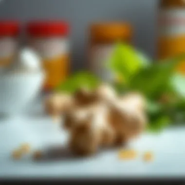 The Role of Ginger in Cancer Prevention and Treatment Summary