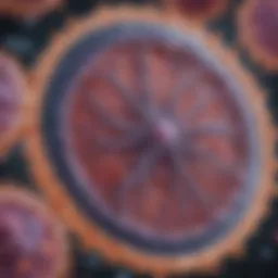 Illustration depicting the cellular structure of stem cells and their unique properties