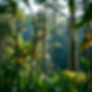 Biodiverse ecosystem illustrating habitat provision