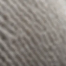 Microscopic view of paper towel fibers showcasing their structure