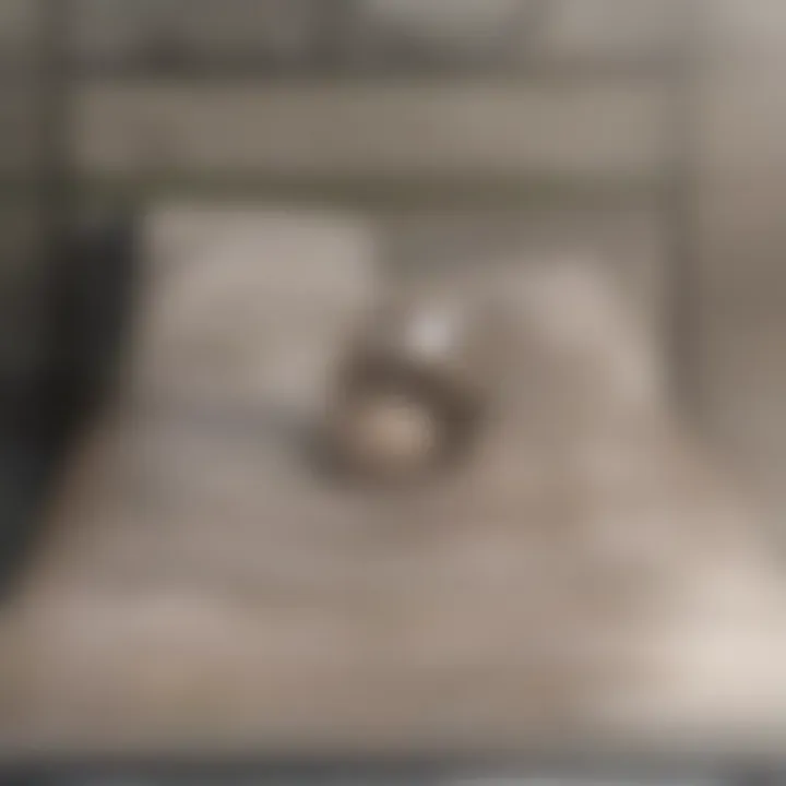 Visual representation of prevention techniques for bed bug infestations