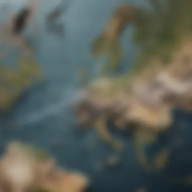 Global Bird Migration Routes Map illustrating global bird migration routes