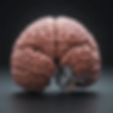 Brain Regions Associated with Decision-Making Brain regions associated with decision-making