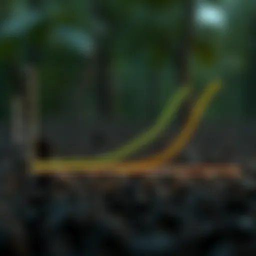 Graph illustrating carbon budget thresholds