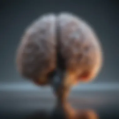 Brain Scan of Chemical Depression A brain scan highlighting areas affected by chemical depression