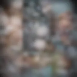 Illustration of breast tissue density variations