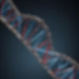 DNA double helix structure illustrating genetic information