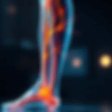 Illustration of leg nerves and sensory pathways