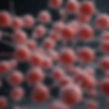 Therapeutic Applications of Monoclonal Antibodies Graph illustrating the therapeutic applications of monoclonal antibodies