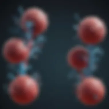 Diagram showing the interaction between monoclonal antibodies and antigens