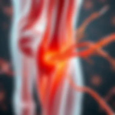 The Dynamics of Muscle Fiber Contraction Illustration of muscle fibers during contraction