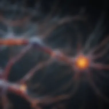 Diagram illustrating neural connections and synapses