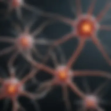 Comparison of different types of neurons and their functions